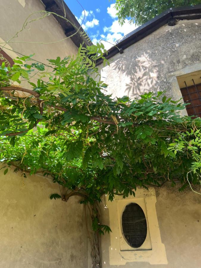 Casa Barattini Bed & Breakfast Zocchetta Exterior photo