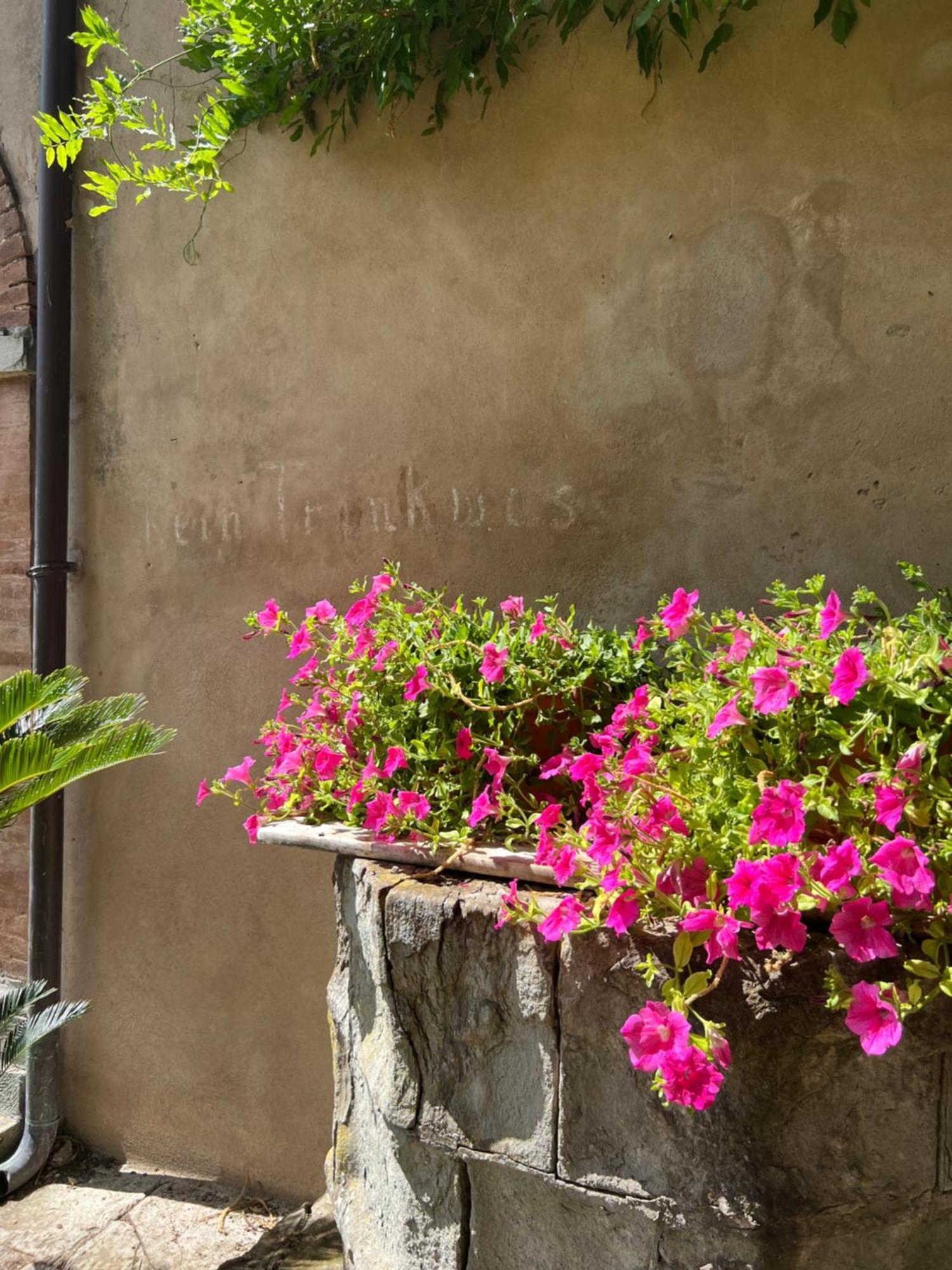 Casa Barattini Bed & Breakfast Zocchetta Exterior photo